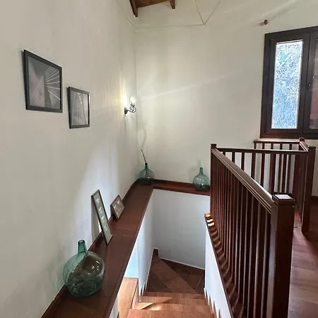 Choviejo La Rambla (Tenerife)